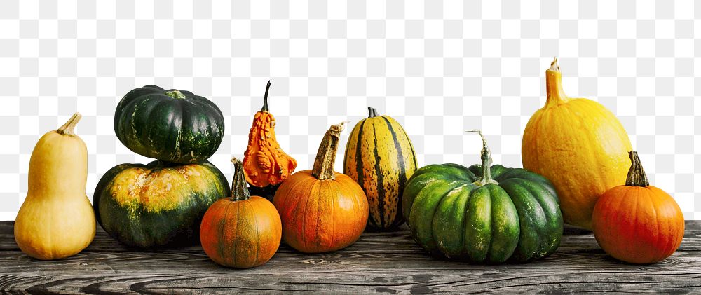 Autumn gourds png border, transparent background