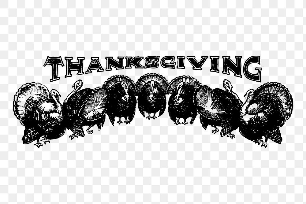 Thanksgiving turkeys png typography sticker, greeting vintage illustration on transparent background. Free public domain CC0…