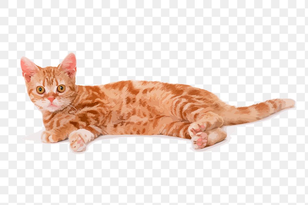 Ginger cat png sticker, animal illustration on transparent background. Free public domain CC0 image.