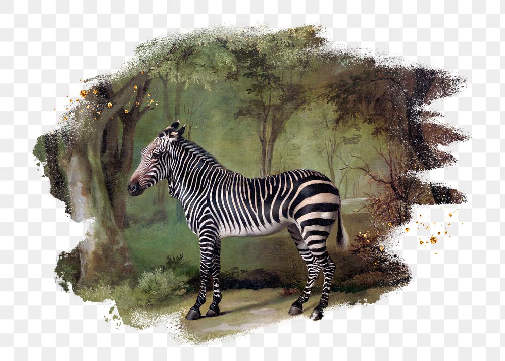 Zebra png, brush stroke reveal sticker, animal collage element, transparent background
