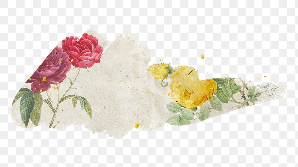 Roses png, brush stroke reveal sticker, flower collage element, transparent background