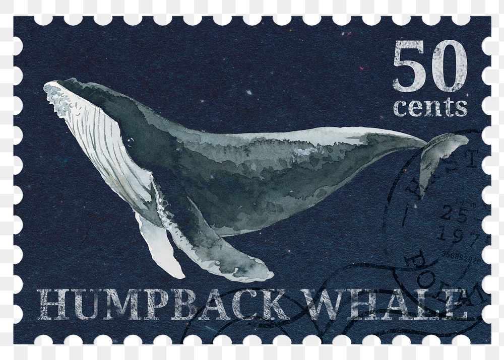 Png humpback whale stamp sticker, transparent background