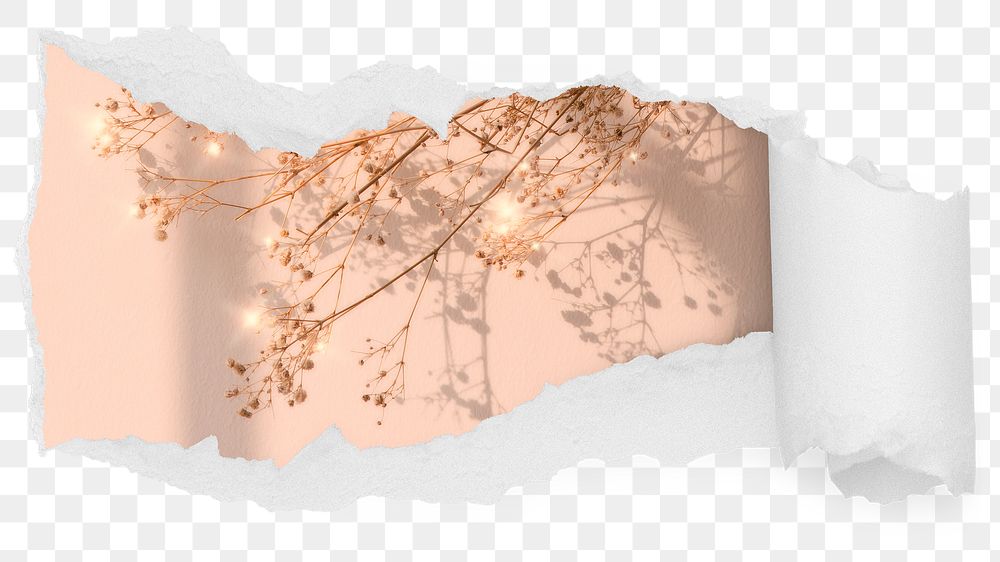 Sparkly dried png flower ripped paper sticker, aesthetic photo reveal on transparent background