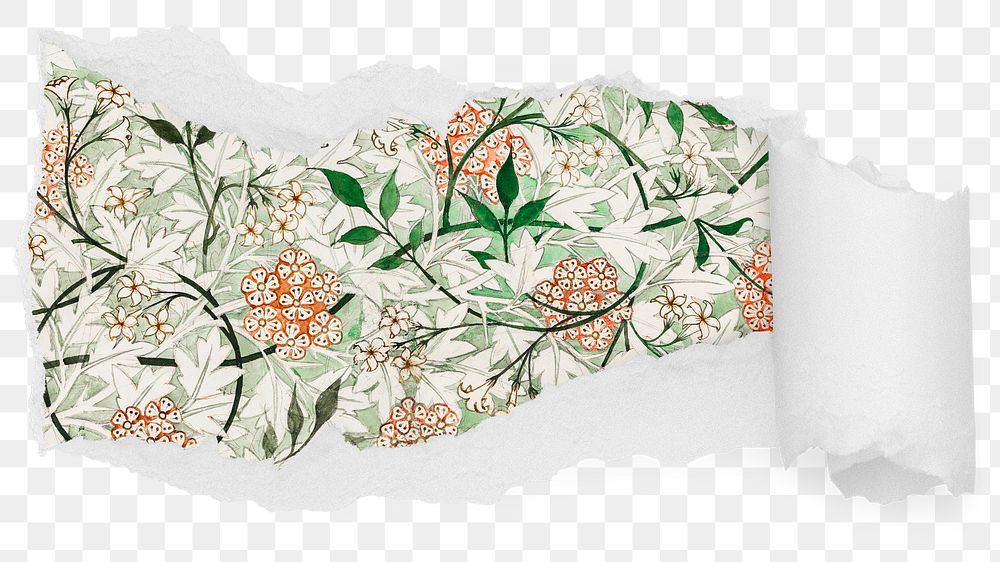 Png William Morris jasmine pattern ripped paper sticker, flower illustration reveal on transparent background