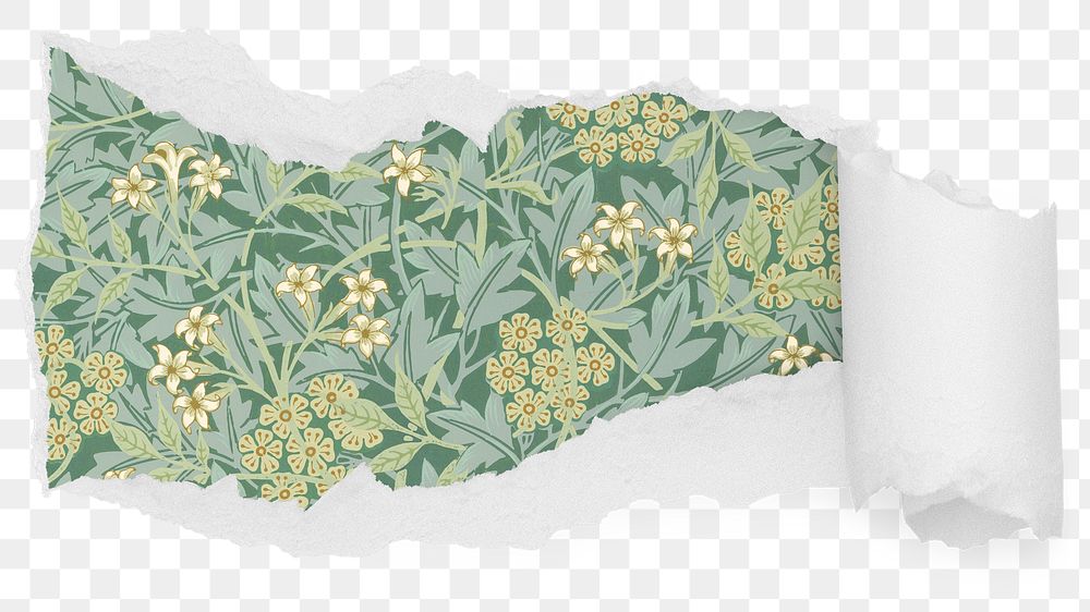 Png William Morris jasmine pattern ripped paper sticker, flower illustration reveal on transparent background