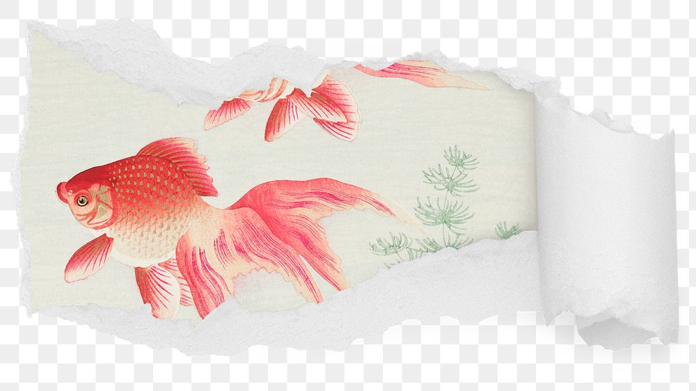 Ohara Koson png goldfish ripped paper sticker, animal illustration reveal on transparent background