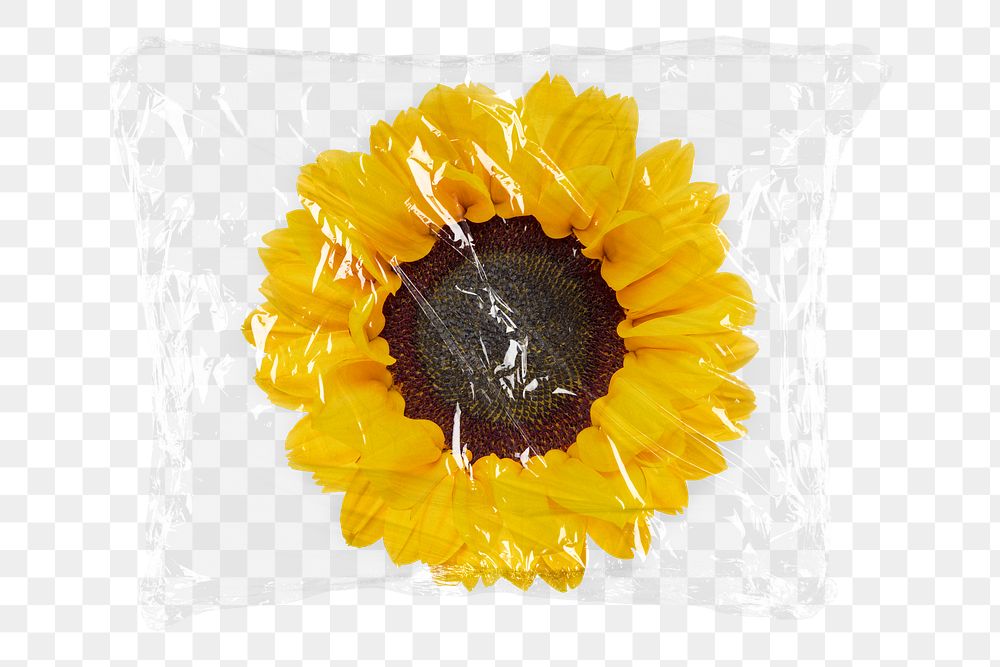 Sunflower png plastic packaging sticker, transparent background