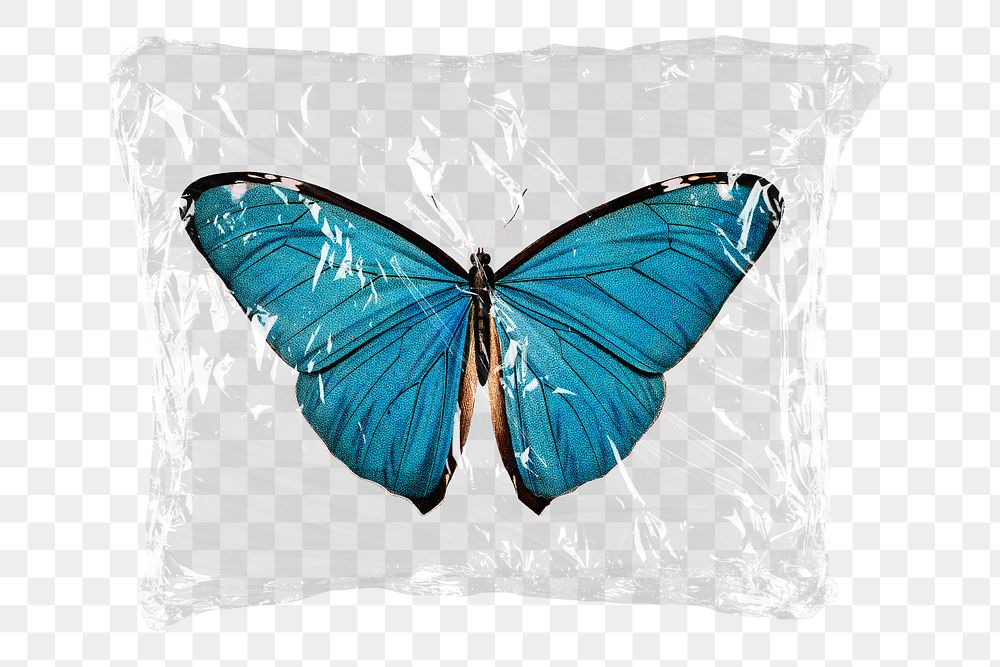 Blue butterfly png plastic packaging sticker, transparent background