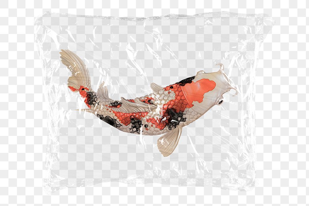 Koi fish png plastic packaging sticker, transparent background