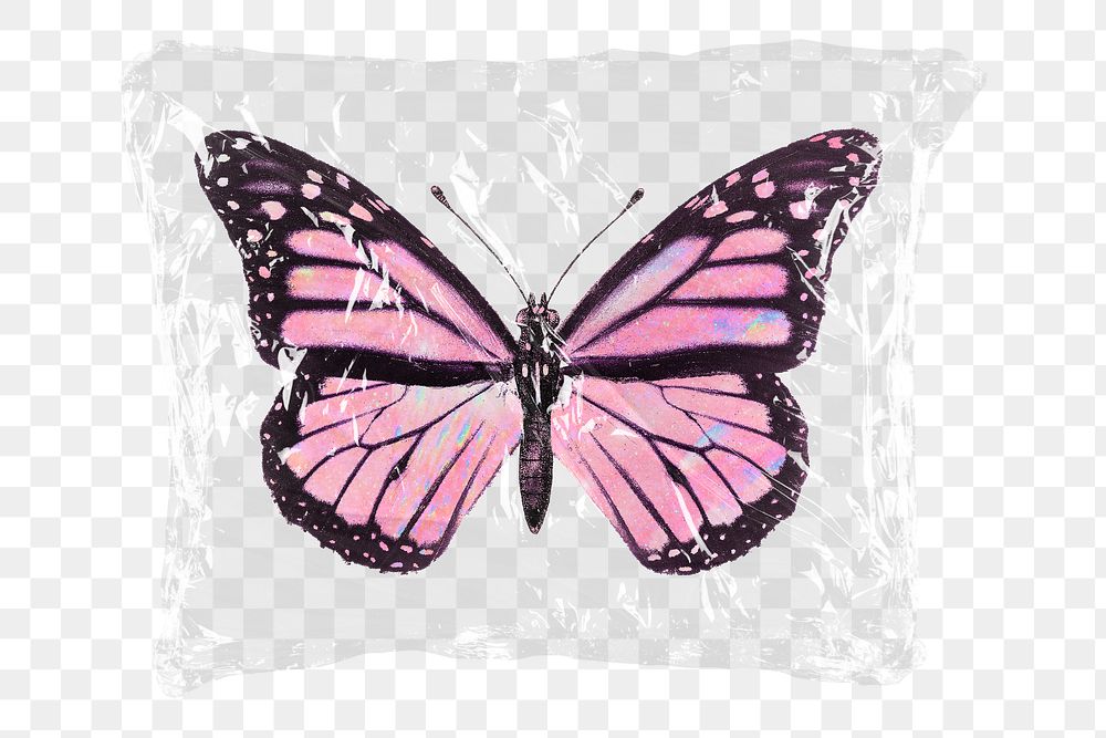 Pink butterfly png plastic packaging sticker, transparent background