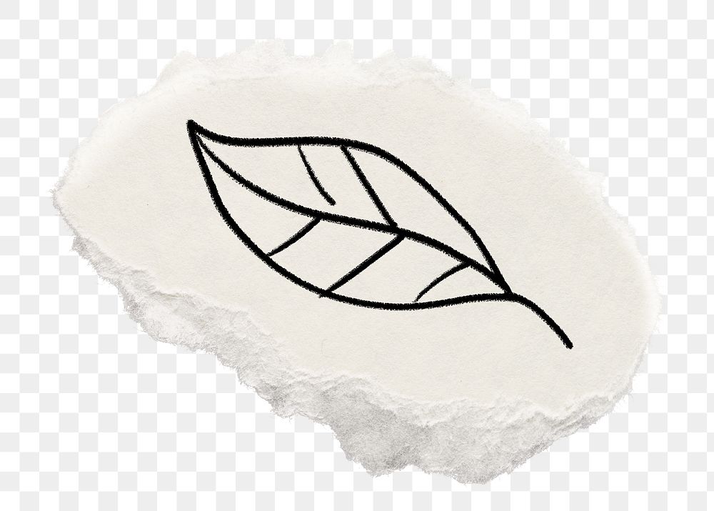 Leaf doodle png sticker, torn paper transparent background