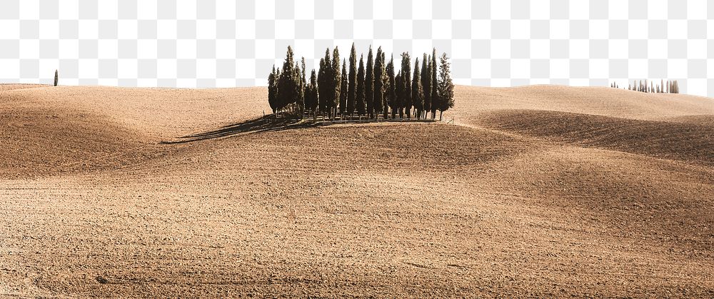 Autumn border png, little forest in dried land, transparent background