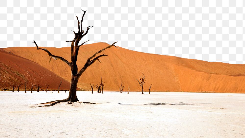 Desert border png, dead trees on land, transparent background