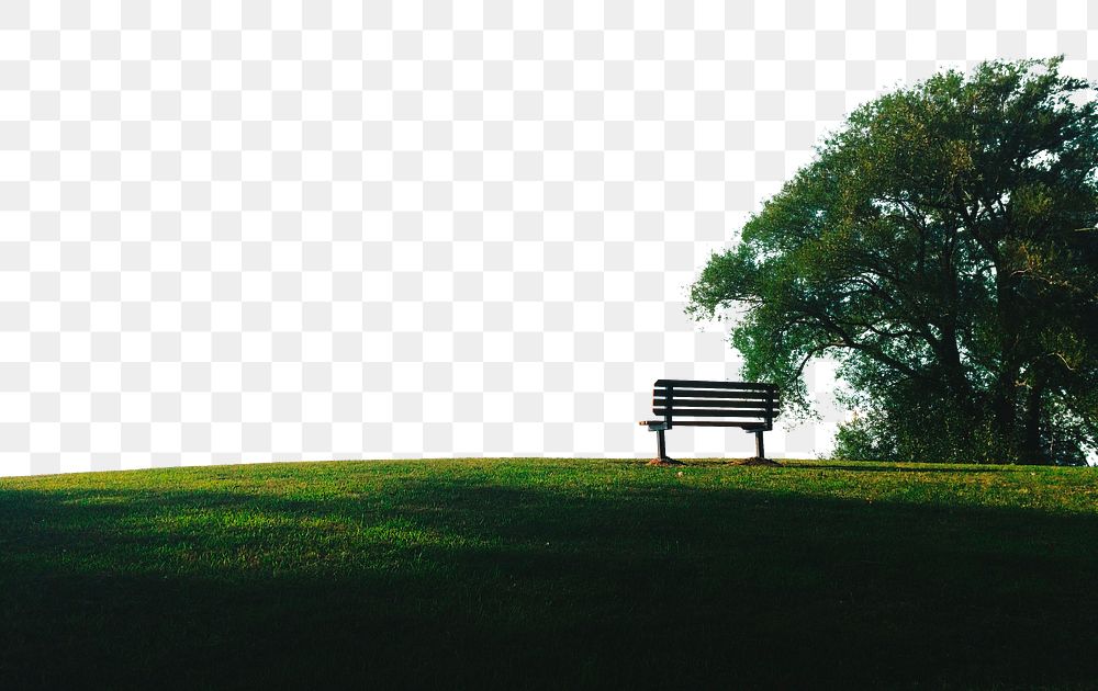Nature border png, bench in green field collage element, transparent background