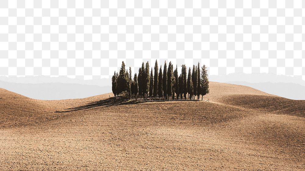 PNG desert border, ripped paper texture, transparent background