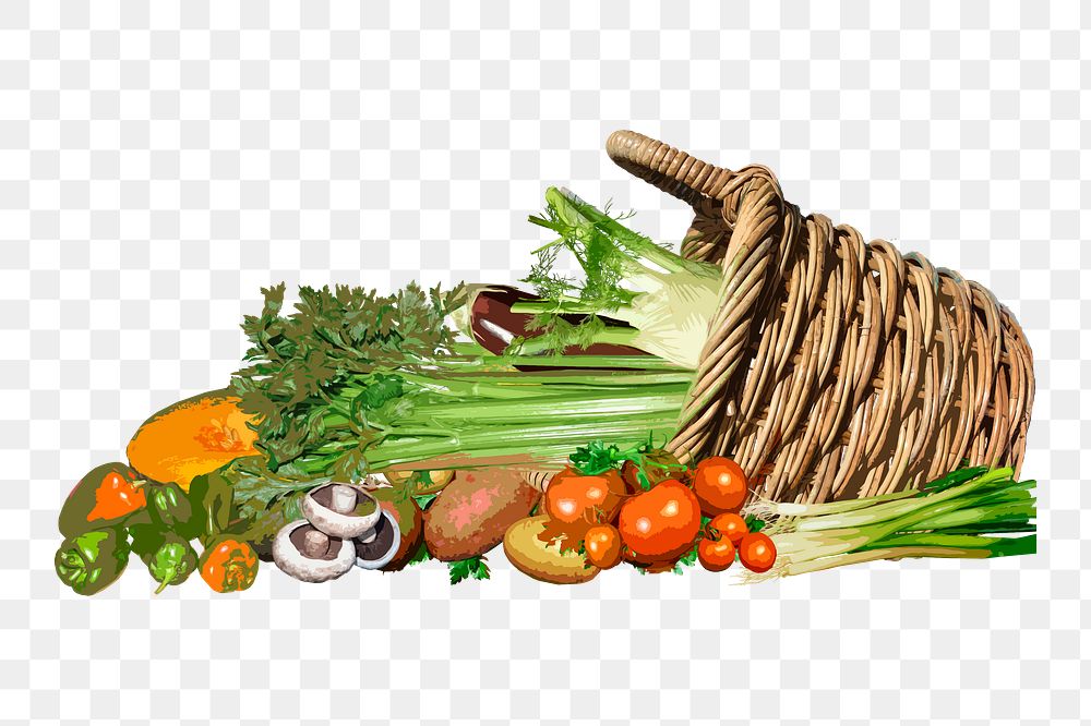Vegetable basket png sticker, healthy food illustration on transparent background. Free public domain CC0 image.