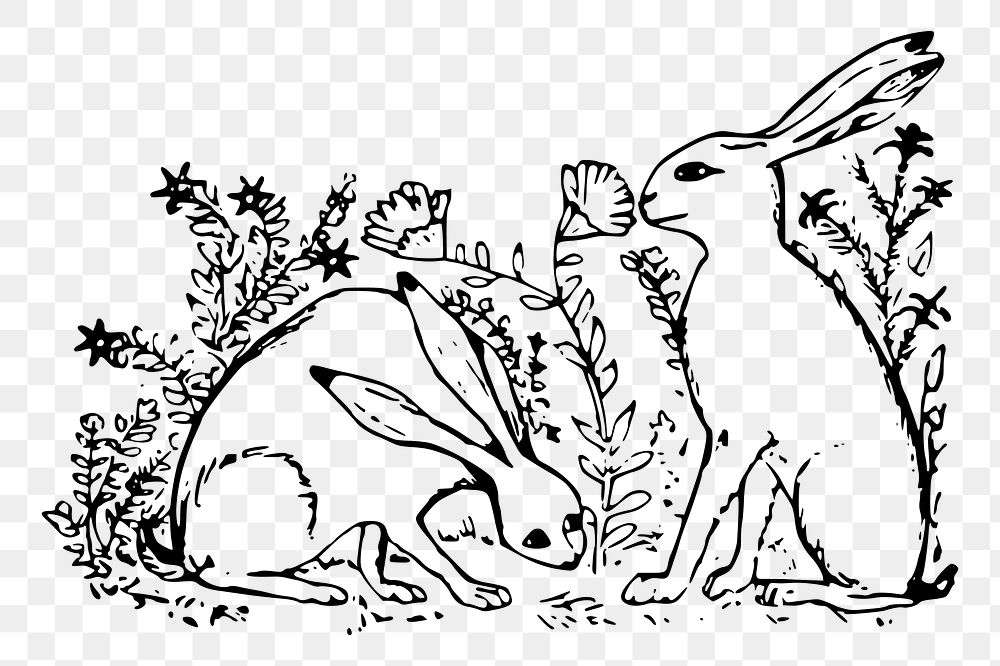 Hare png sticker wild animal illustration, transparent background. Free public domain CC0 image.