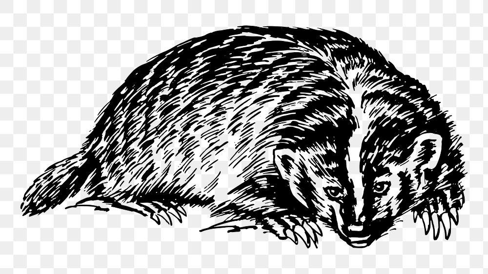 Badger png sticker illustration, transparent background. Free public domain CC0 image