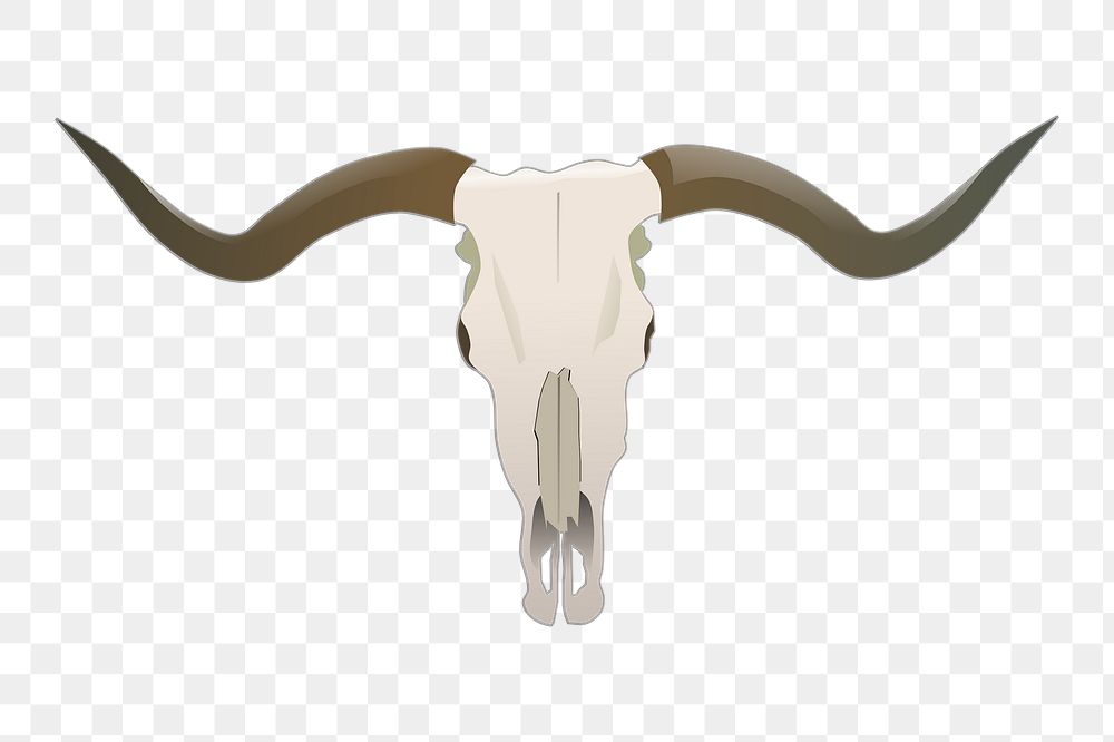 Longhorn skull png sticker, animal hunting illustration on transparent background. Free public domain CC0 image.