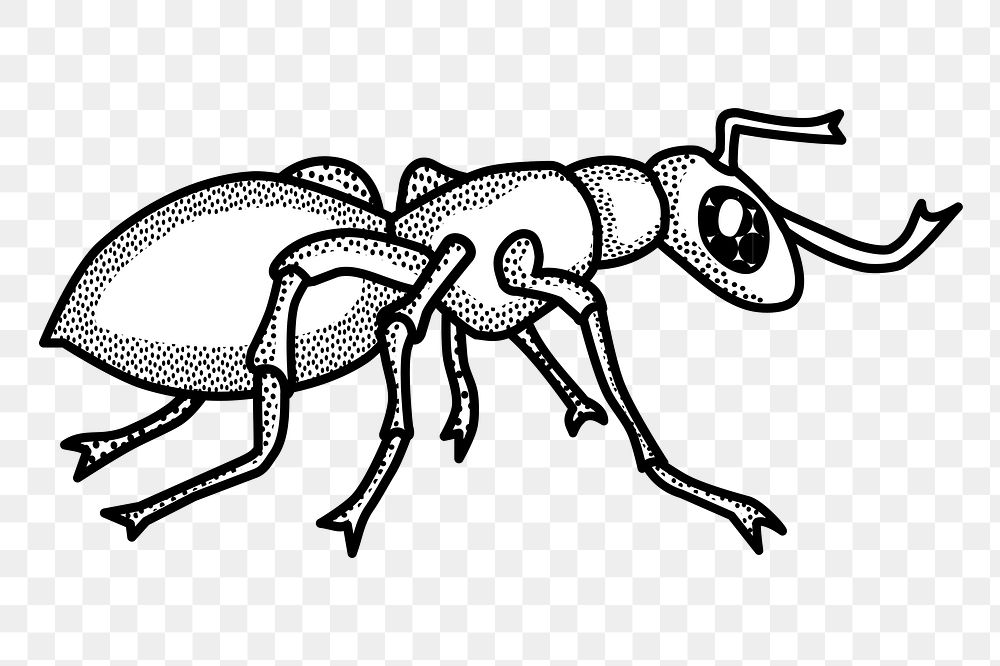 Ant png sticker, animal illustration, transparent background. Free public domain CC0 image