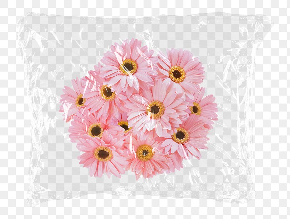 Pink gerbera png flowers plastic bag sticker, Spring concept art on transparent background