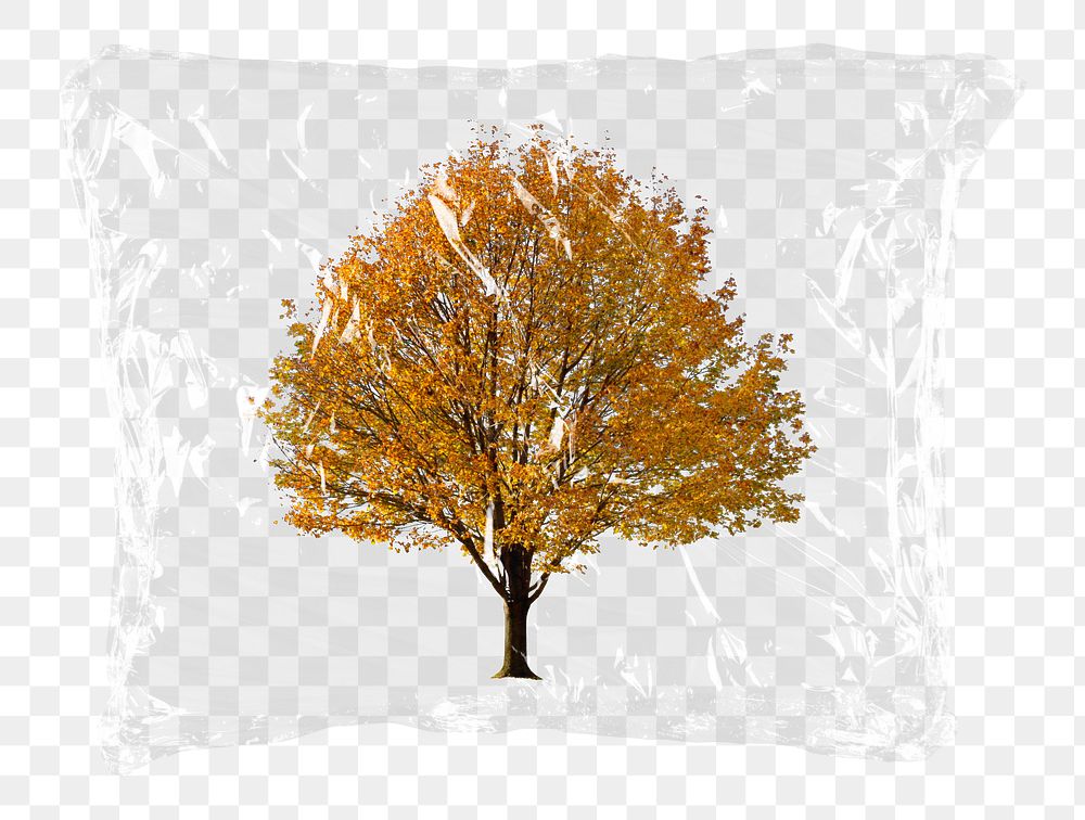 Dried tree png plastic bag sticker, Autumn aesthetic concept art on transparent background