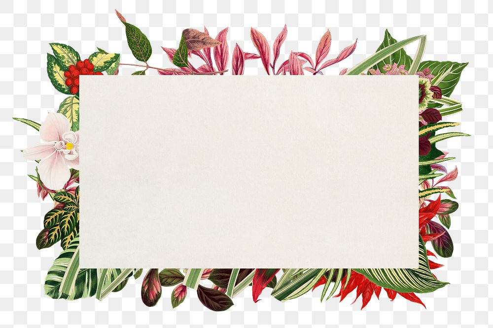 Aesthetic flower frame png, floral illustration, transparent background