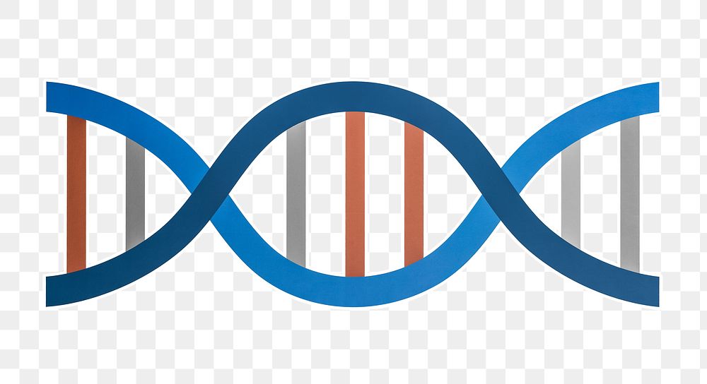 DNA double helix png sticker, transparent background