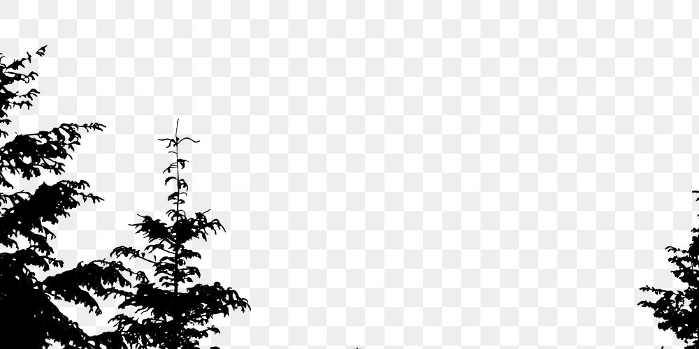 Tree png border, transparent background