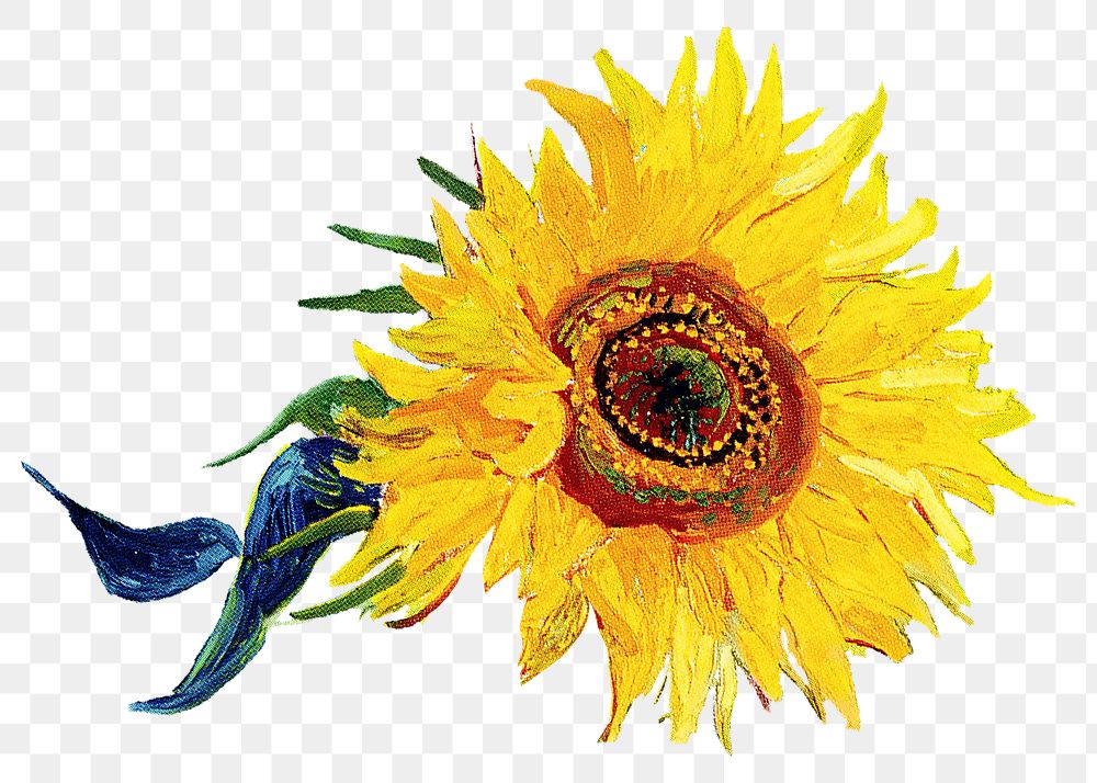 Sunflower png sticker, Van Gogh's painting remixed by rawpixel, transparent background