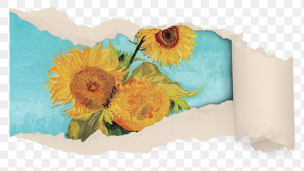 Sunflower png sticker, ripped paper  remixed by rawpixel, transparent background