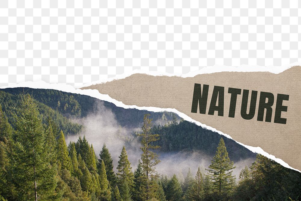 Png ripped nature paper border, transparent background