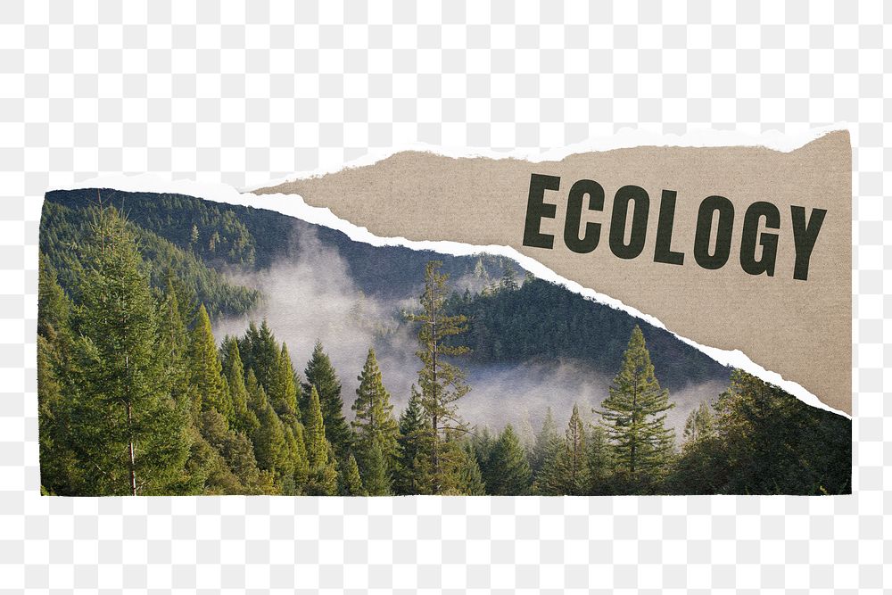 Ecology png ripped paper sticker, forest image on transparent background