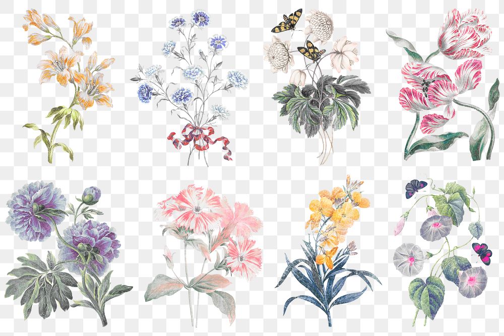 Flower png sticker, illustration on transparent background set