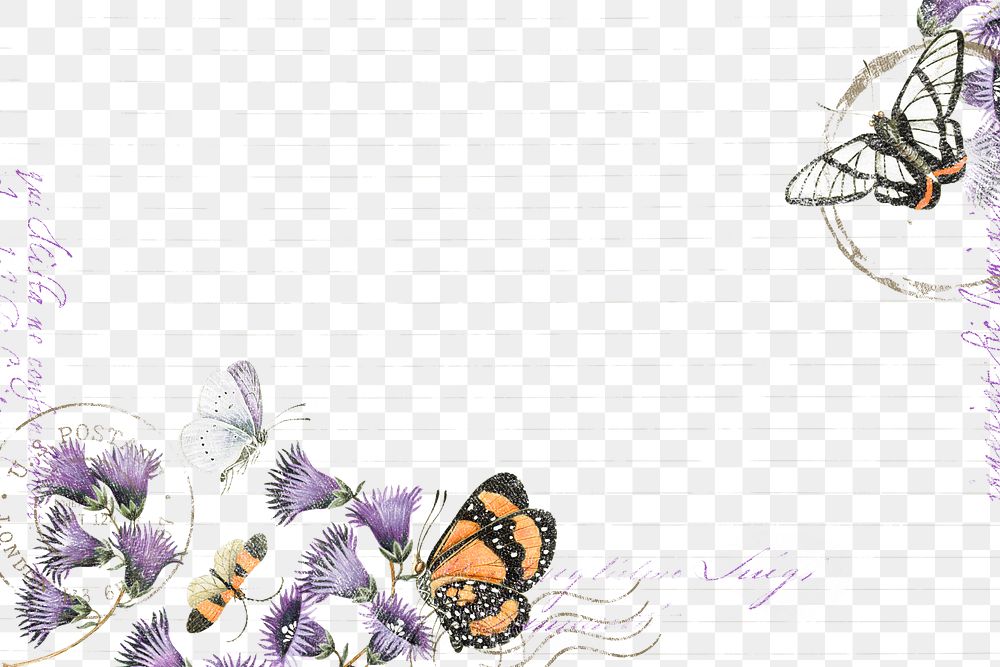 Png flower and butterfly border frame, vintage illustration, transparent background