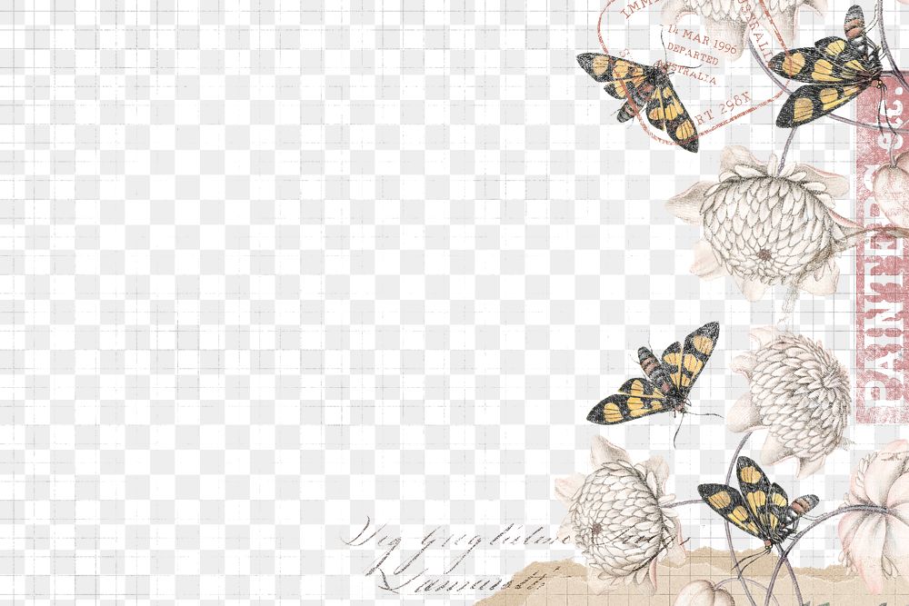 Png flower and butterfly border frame, vintage illustration, transparent background