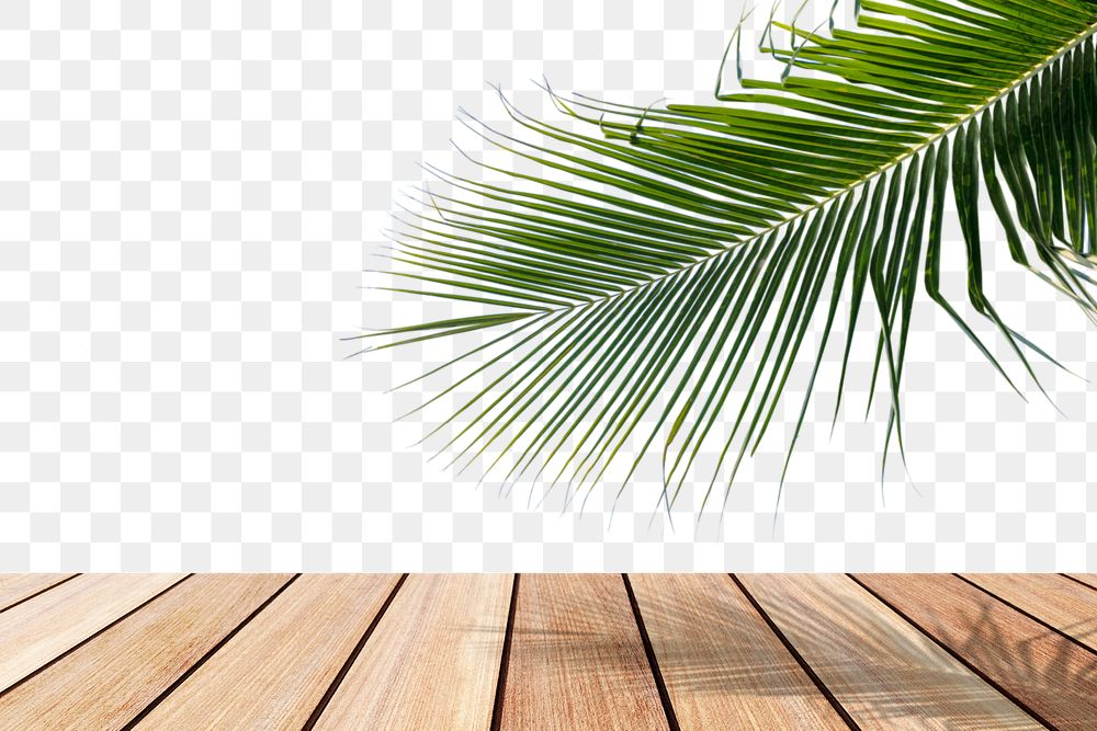 Wooden table png border, palm leaf on transparent background