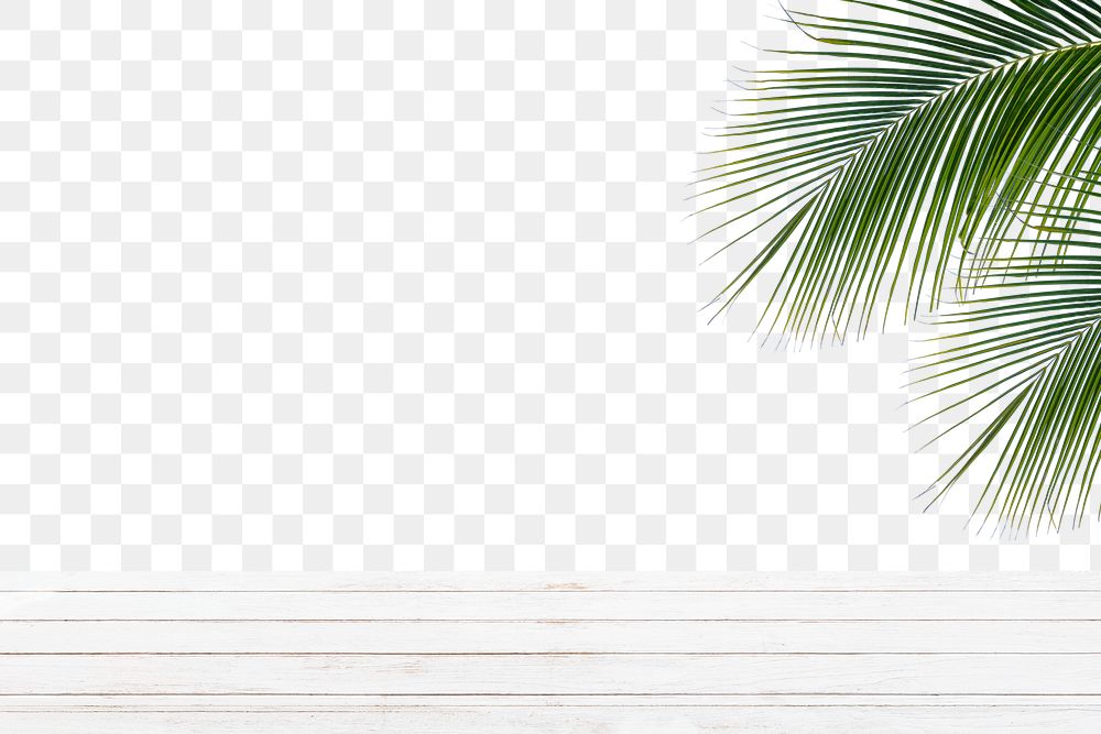 Wooden table png border, palm leaf on transparent background