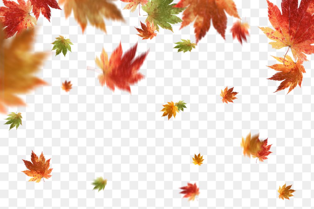 Autumn leaves png border, transparent background