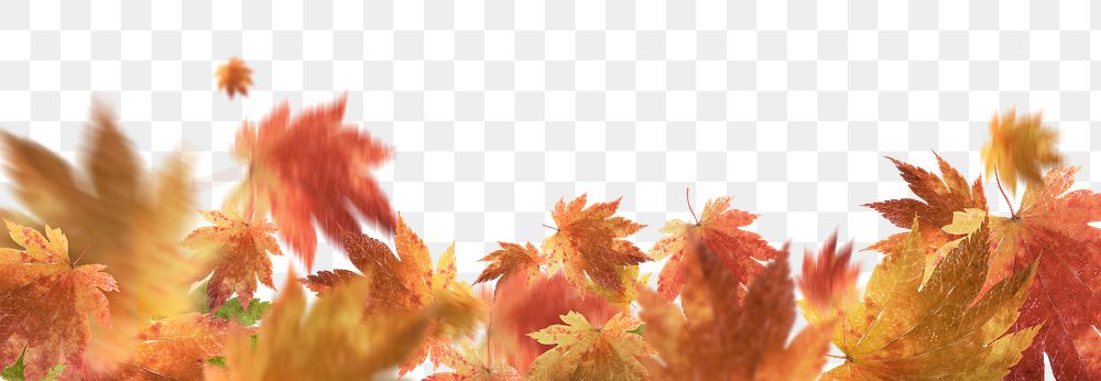 Autumn leaves png border, transparent background