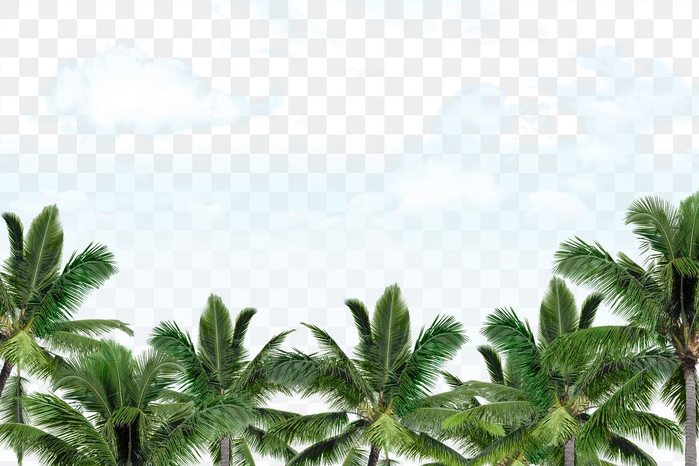 Tropical sky png, palm jungle border, transparent background