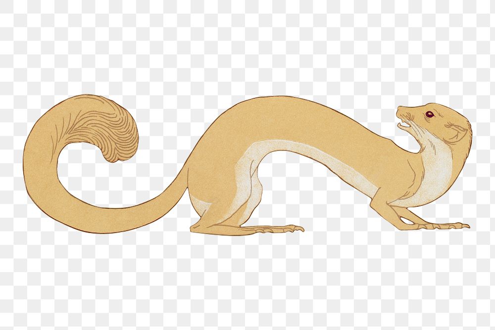 Weasel png sticker, vintage animal, transparent background