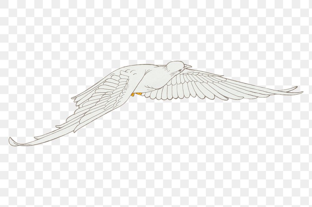 Flying dove png bird sticker, vintage animal illustration, transparent background