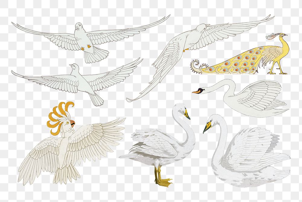 Vintage birds png sticker, animal illustration set, transparent background