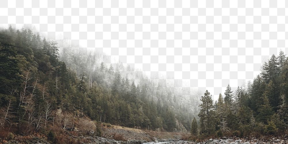 Forest png border, transparent background