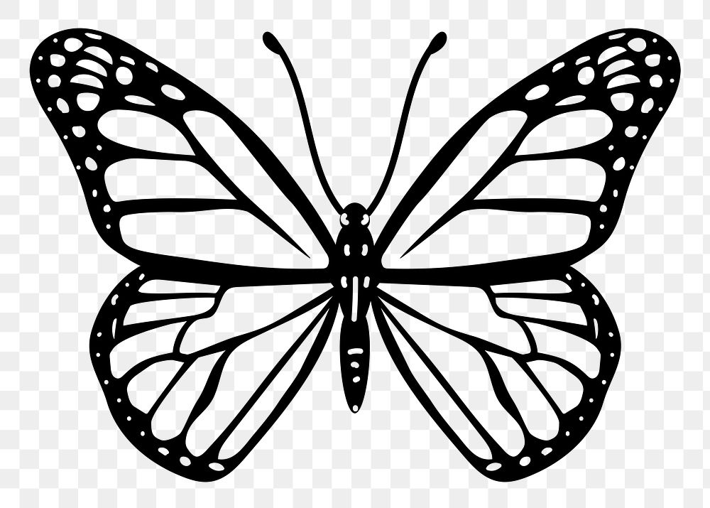Butterfly png doodle sticker, black & white illustration, transparent background