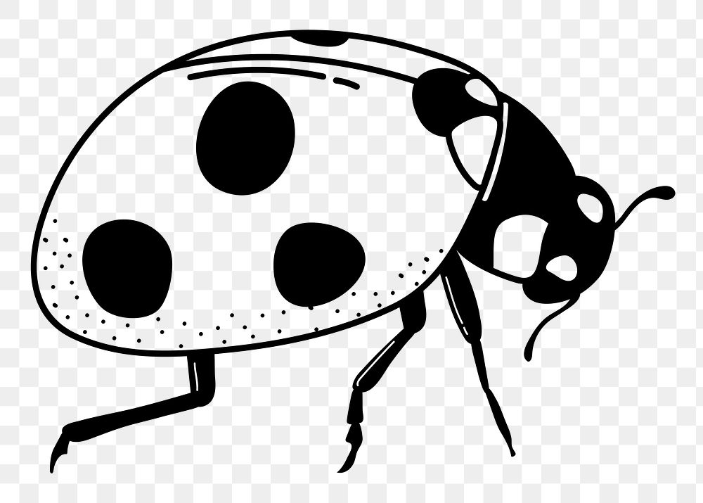 Ladybug png doodle sticker, black & white illustration, transparent background