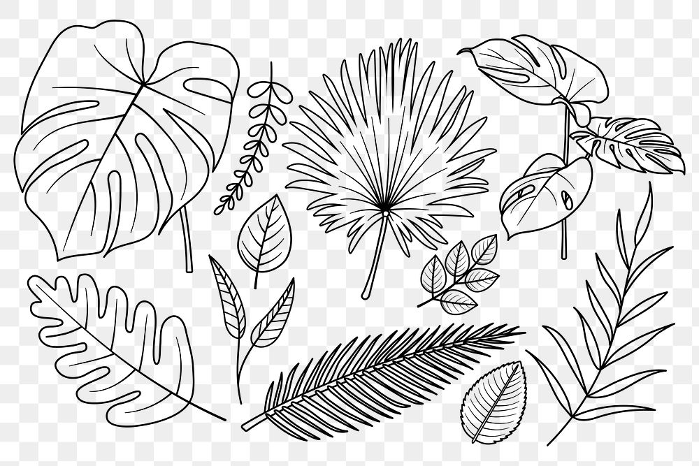 Leaf png doodle sticker, black & white illustration set, transparent background