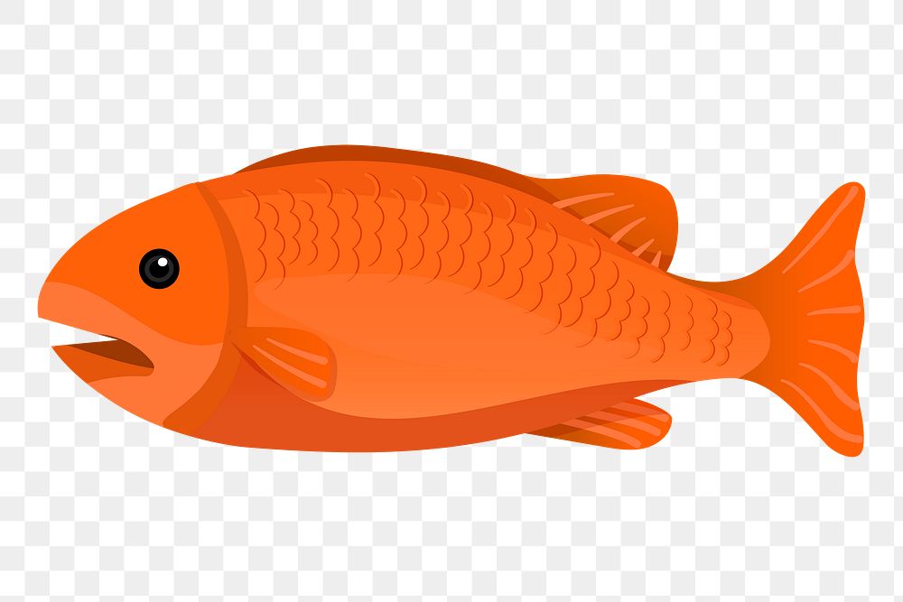 Orange fish png sticker, cute illustration, transparent background