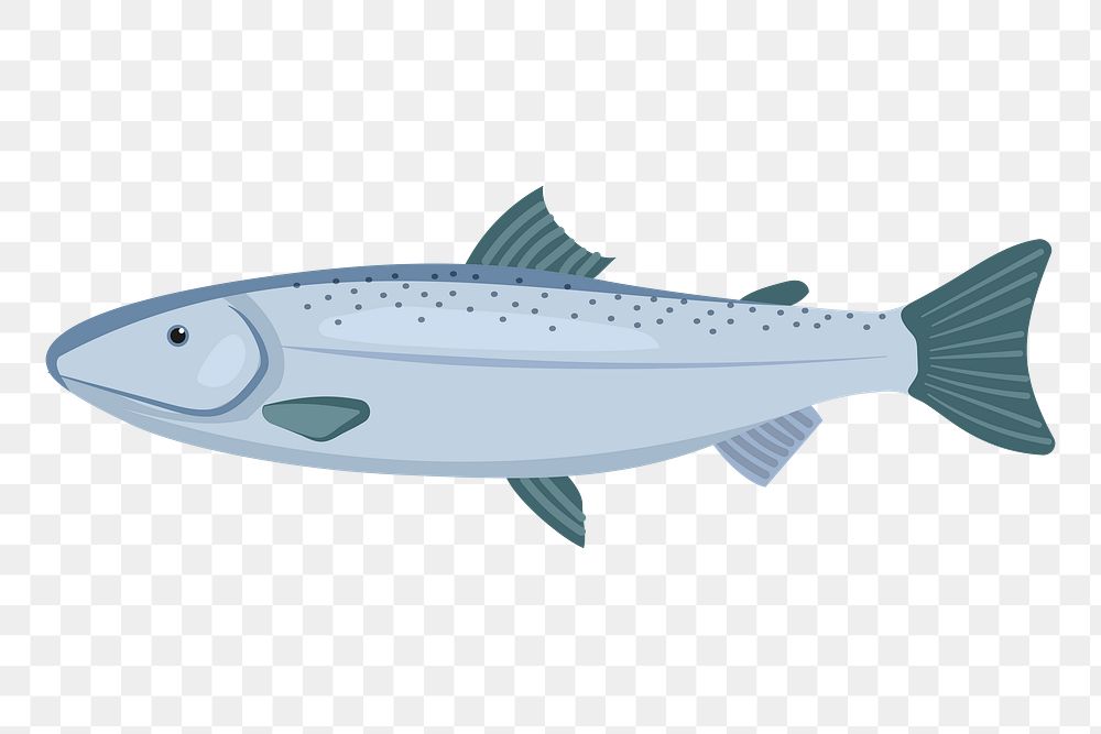 Fish png sticker, cute illustration, transparent background